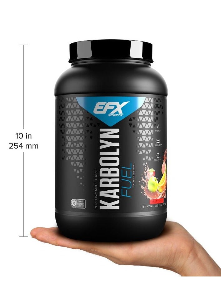 EFX SPORTS - EFX Sports karbolyn fuel performance Carbs 1950g Fruit Punch Flavor 36 Serving - Image 1
