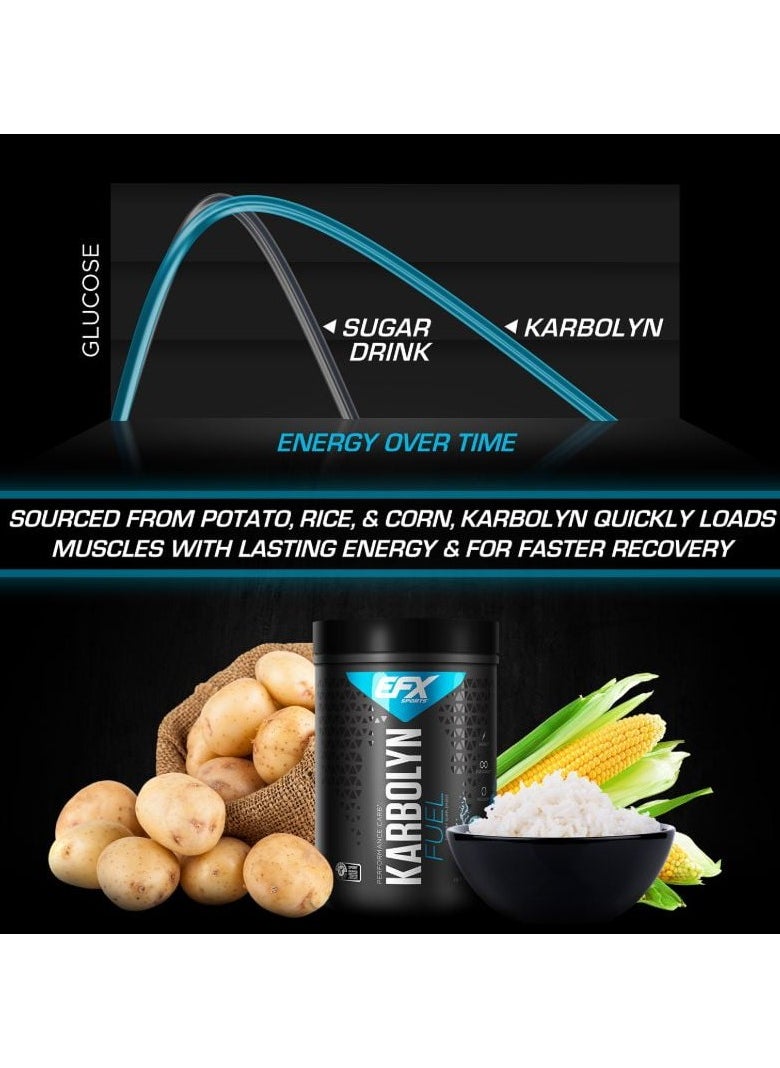 EFX SPORTS - EFX Sports karbolyn fuel performance Carbs 1950g Fruit Punch Flavor 36 Serving - Image 1