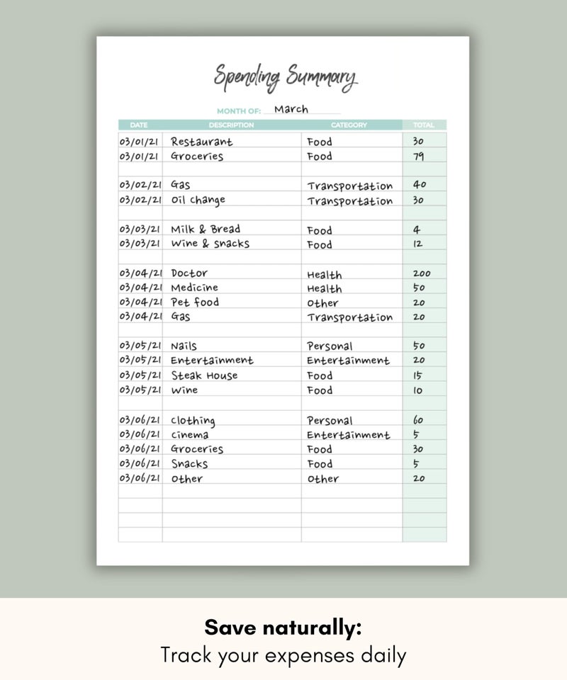 Lamare منظم ميزانية لاماري ومنظم فواتير شهرية - مخطط مالي وكتاب مال مع دفتر تتبع النفقات، دفتر تتبع الديون ومجلة الميزانية - Image 4