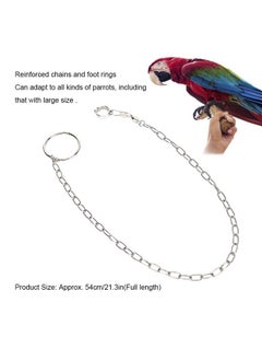 Zerodis Bird Foot Chain, Pet Bird Leash Parrot Foot Chain Stainless Steel Anti bite Flying Training Anklet Ring Parrot Ankle Foot Ring Accessories  - Image 3