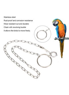 Zerodis Bird Foot Chain, Pet Bird Leash Parrot Foot Chain Stainless Steel Anti bite Flying Training Anklet Ring Parrot Ankle Foot Ring Accessories  - Image 2
