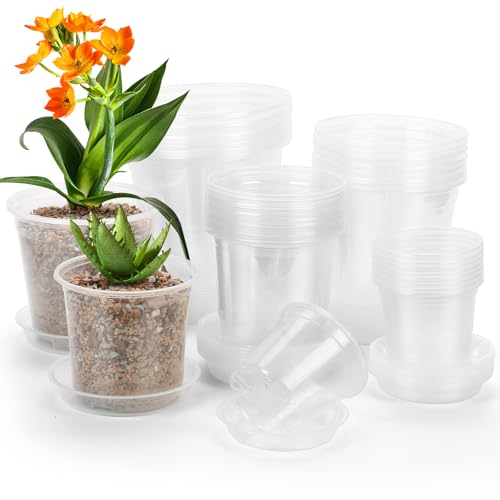 DUNPUTE 40 Pack 4/5/6/7 Inch Clear Nursery Pots with Drainage and Saucer, Clear Plastic Planter Pots for Plants, Flexible Seed Starting Pots for Succulents, Small Herbs, Annual Flowers - Image 1