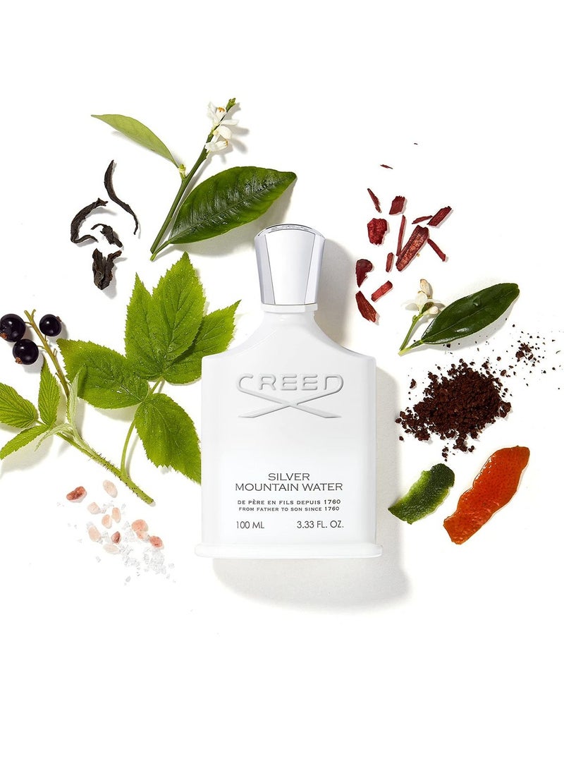 Creed White Silver Mountain Water Eau de Parfum 100ml - pzsku/Z1CEB691A4A6D156FA369Z/45/_/1708266990/67e569c0-aee2-4233-9918-161f56069b3e