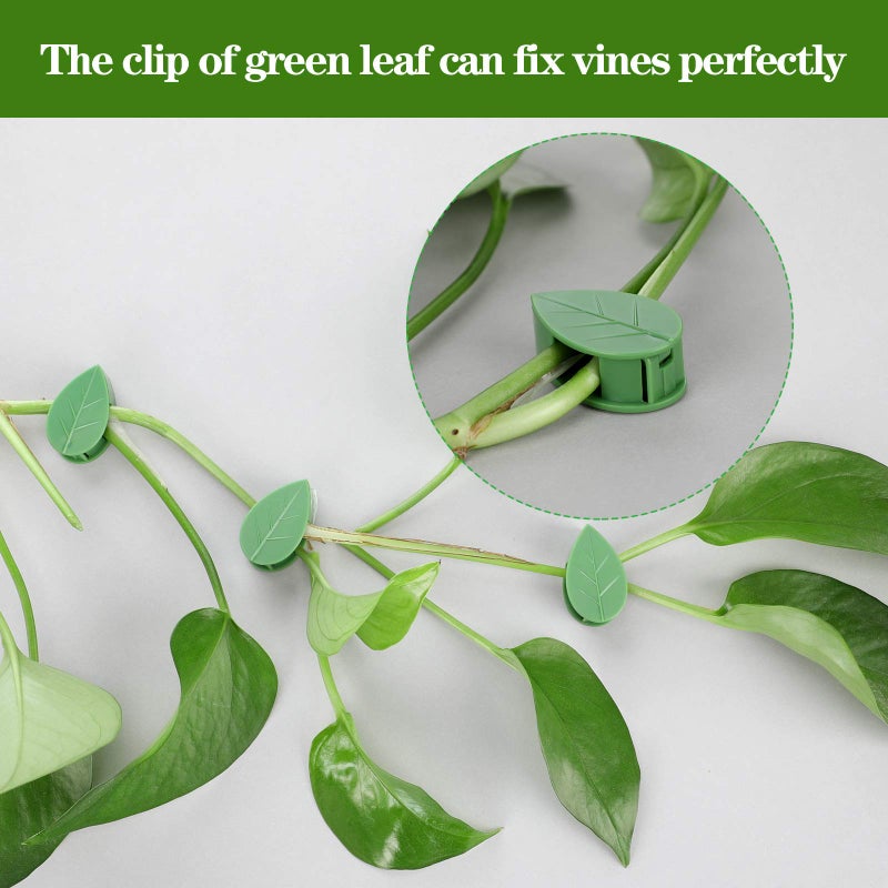 Geiserailie 60 Pieces Plant Climbing Wall Fixture Clips with 72 Pieces Acrylic Adhesive Sticker Leaf Fixer Invisible Wall Vines Fixing Clips Self-Adhesive Hook Plant Vine Traction for Indoor Outdoor Decoration - Image 3