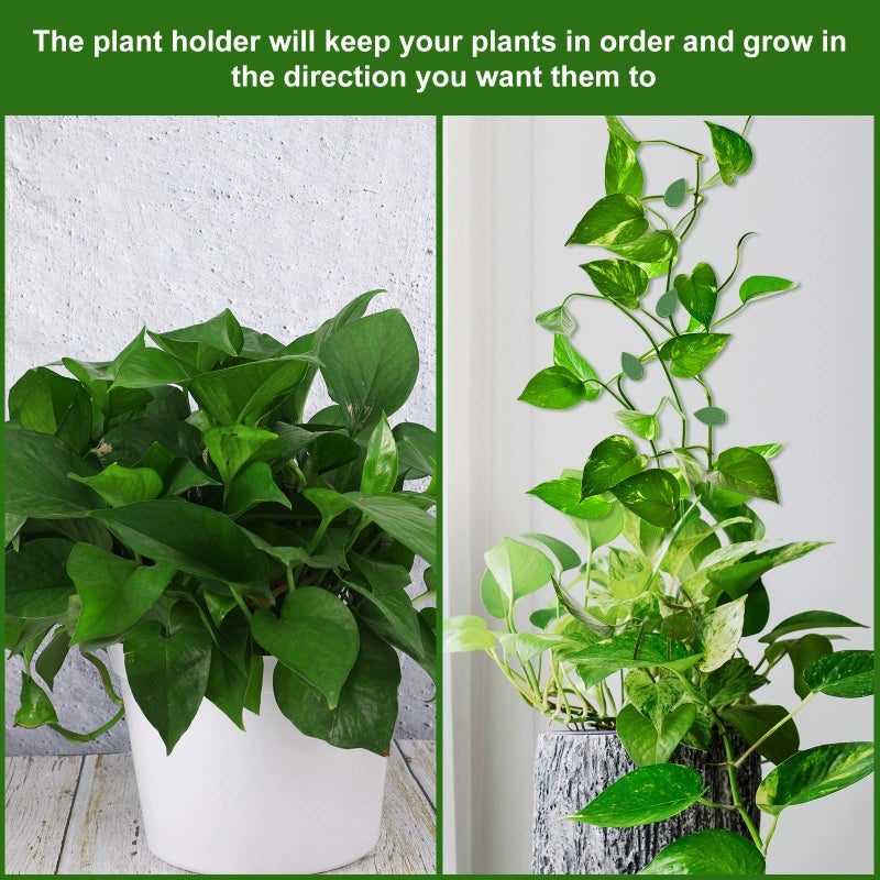Geiserailie 60 Pieces Plant Climbing Wall Fixture Clips with 72 Pieces Acrylic Adhesive Sticker Leaf Fixer Invisible Wall Vines Fixing Clips Self-Adhesive Hook Plant Vine Traction for Indoor Outdoor Decoration - Image 4