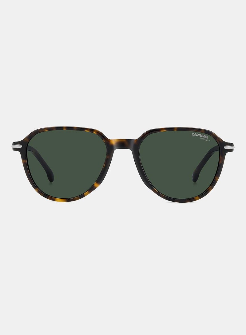 Carrera نظارات شمسية دائرية للرجال 53 كارييرا 342/S - Image 3