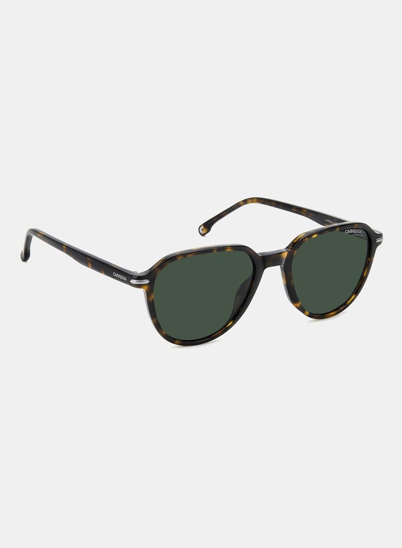 Carrera نظارات شمسية دائرية للرجال 53 كارييرا 342/S - Image 2
