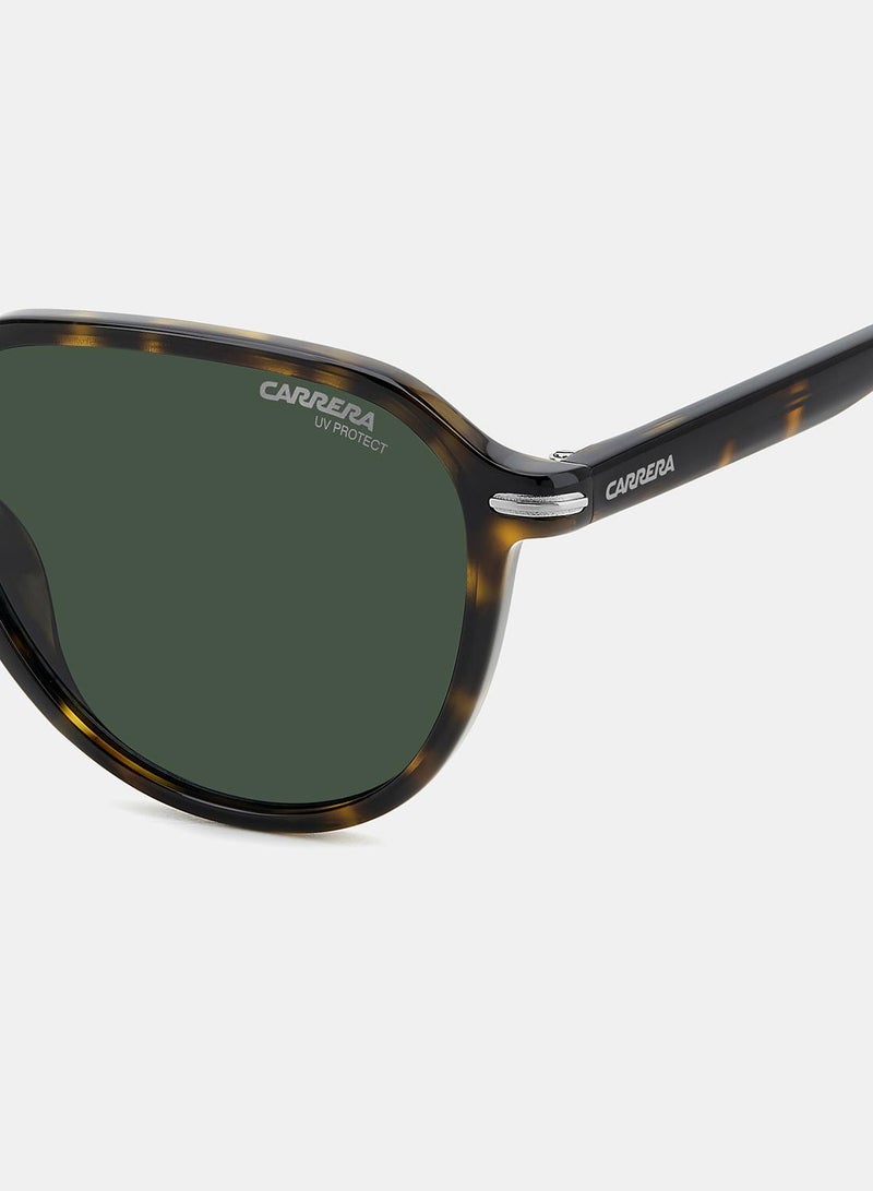 Carrera نظارات شمسية دائرية للرجال 53 كارييرا 342/S - Image 5