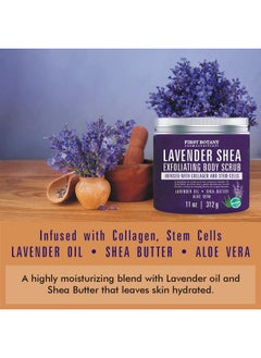 First Botany Lavender Oil Body Scrub Exfoliator With Shea Butter Stem Cells Grapefruit Oil Exfoliating Salt Scrub Body Face Souffle Helps Moisturizing Skin Acne Cellulite Dead Skin Scar Wrinkle 11Oz  - Image 2