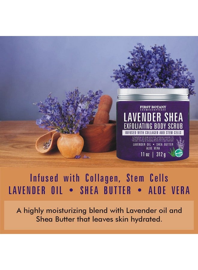 First Botany Lavender Oil Body Scrub Exfoliator With Shea Butter Stem Cells Grapefruit Oil Exfoliating Salt Scrub Body Face Souffle Helps Moisturizing Skin Acne Cellulite Dead Skin Scar Wrinkle 11Oz - Image 2