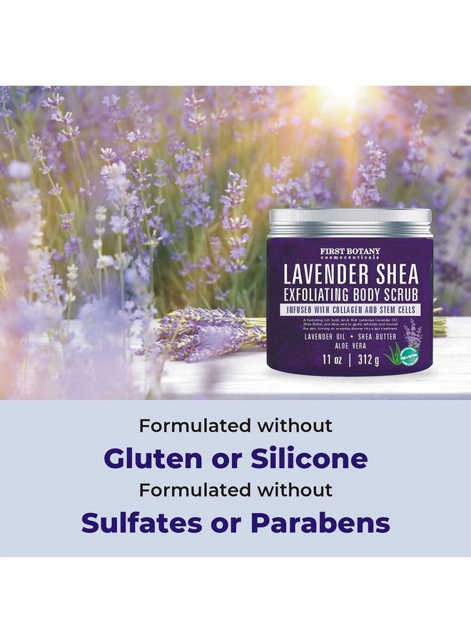 First Botany Lavender Oil Body Scrub Exfoliator With Shea Butter Stem Cells Grapefruit Oil Exfoliating Salt Scrub Body Face Souffle Helps Moisturizing Skin Acne Cellulite Dead Skin Scar Wrinkle 11Oz - Image 5