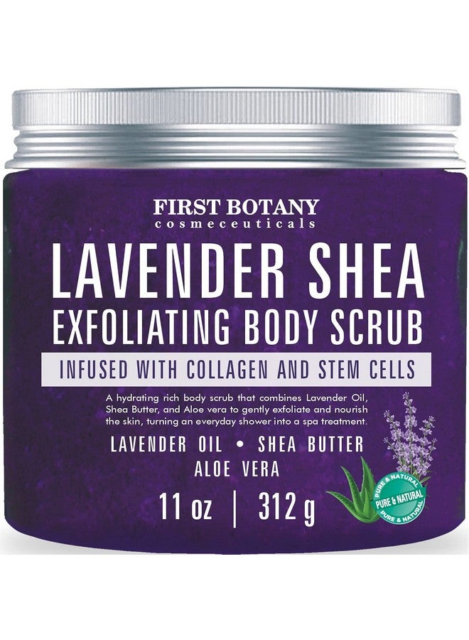 First Botany Lavender Oil Body Scrub Exfoliator With Shea Butter Stem Cells Grapefruit Oil Exfoliating Salt Scrub Body Face Souffle Helps Moisturizing Skin Acne Cellulite Dead Skin Scar Wrinkle 11Oz - Image 1