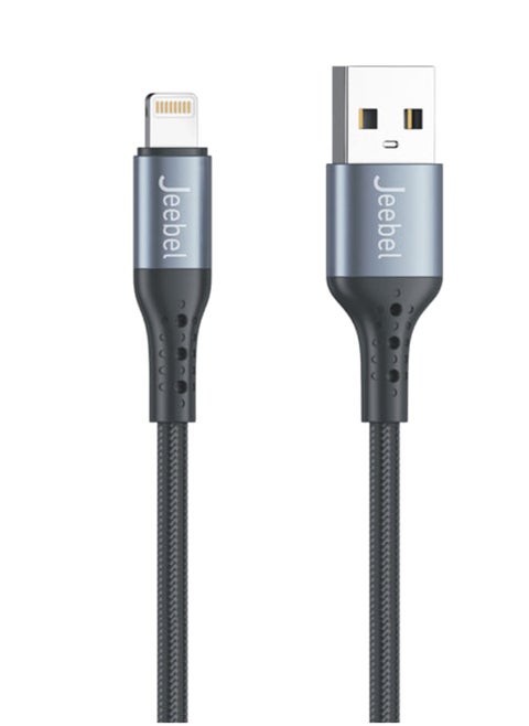 MFI Certified Lightning to USB Fast iPhone Charging Cable Anti-cut 2 M