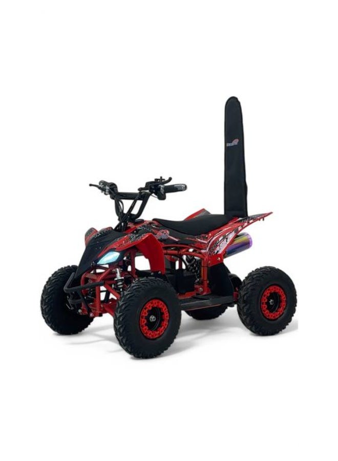 New 48-volt four-wheeler - Image 1