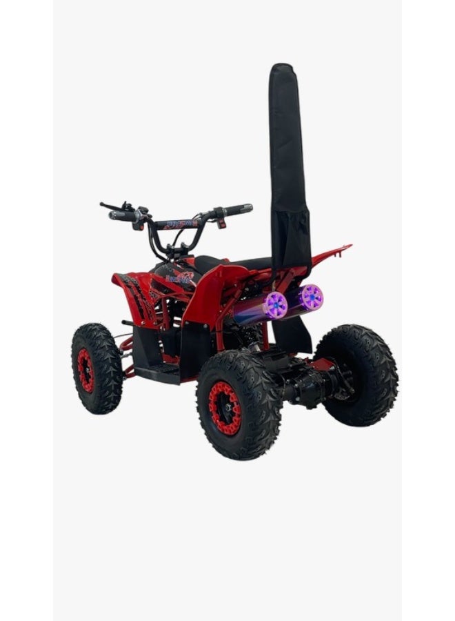 New 48-volt four-wheeler - Image 2