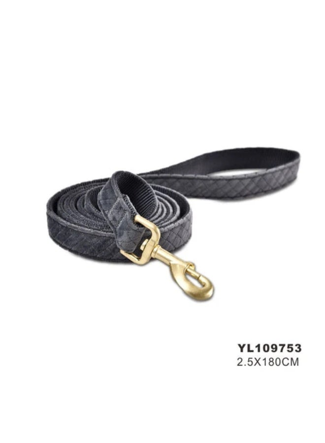 gray  leash for dogs