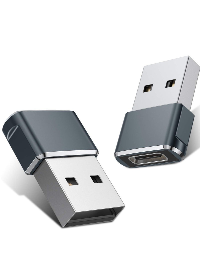VICTGOAL Gray USB to USB C Adapter 2 Pack,USB C Female to A Male Charger Type C Converter for Apple Watch Ultra iWatch 7 8 SE,iPhone 14 13 12 11 Plus Pro Max Mini,AirPods,iPad Air,Samsung Galaxy S23 S22 - Image 1