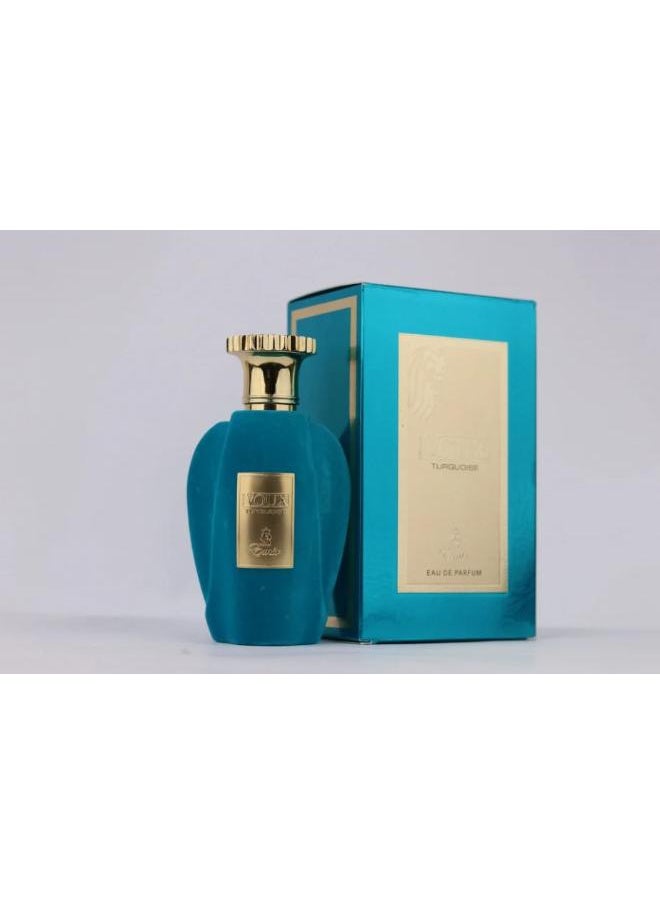 Emir Voux Turquoise Eau De Parfum 100 ML For Unisex 