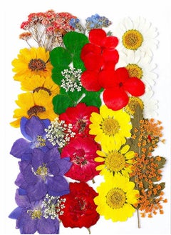 Natural Dried Flowers, Dried Pressed Flowers Leaves Petals for Crafts, Colorful Pressed Flowers Daisies for Candle Jewelry Nail Pendant Crafts Making, Decorative Dried Flowers (36 PCS)