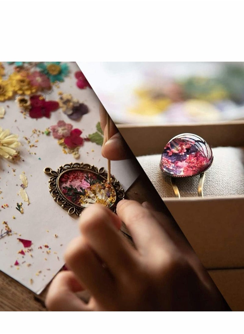 Excefore - Natural Dried Flowers, Dried Pressed Flowers Leaves Petals for Crafts, Colorful Pressed Flowers Daisies for Candle Jewelry Nail Pendant Crafts Making, Decorative Dried Flowers (36 PCS) - Image 1