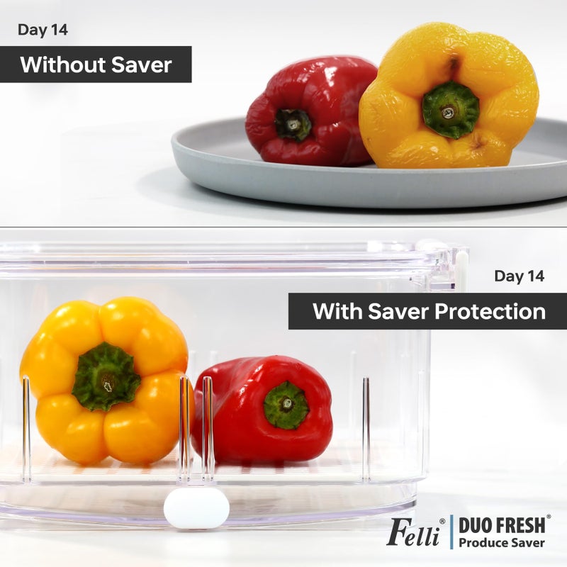 Felli Duo Fresh Produce Saver for Fridge, Fruit Vegetable Container with Vent & Drainage in Bottom for Wash, Colander Strainer Storage Bin for Refrigerator, Berry Lettuce Keeper, Christmas Gifts - Image 5