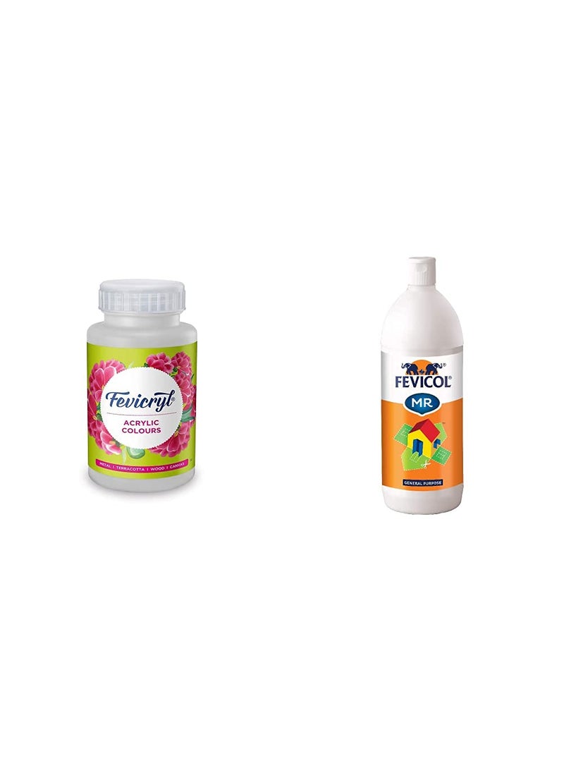 Pidilite Pidilite Fevicol 1 KG Craft Glue Ultimate Adhesive for Students Project Work Craft Glue Office Glue Refill Pack Fevicryl Acrylic Colour White Paint 500 ml Rich Pigment NonCraking Paint  - Image 1