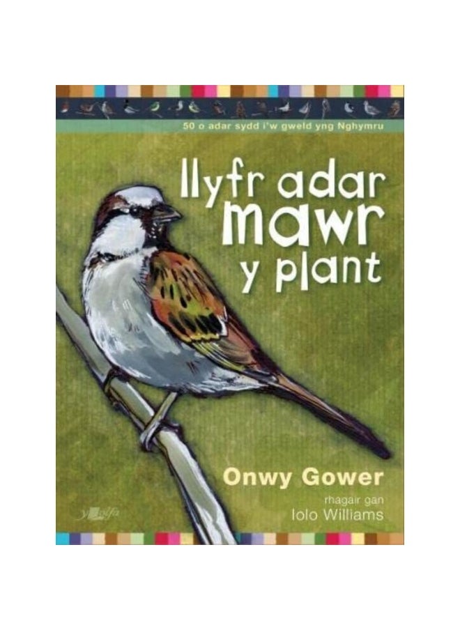 Llyfr Adar Mawr y Plant 