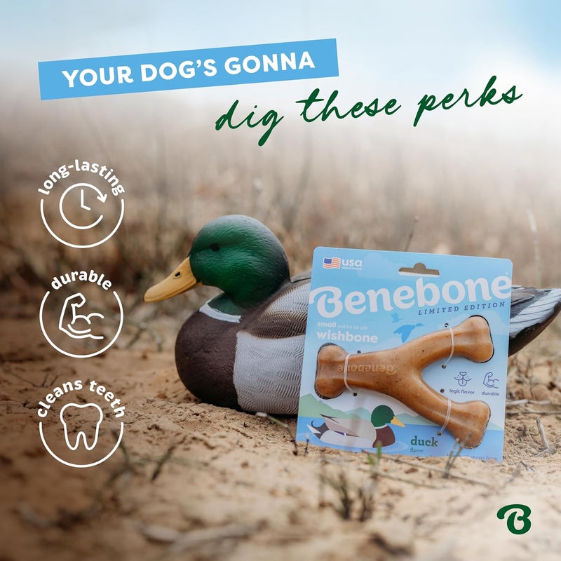 Benebone Indoor outdoor all-purpose fit Benebone Wishbone Durable Dog Chew Toy for Aggressive Chewers, Duck, Made in USA, Small Shop & home all-space compatible - Image 4