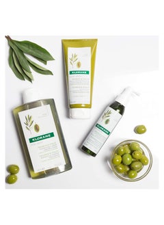 Klorane Thickness & Vitality Shampoo with Olive Extract 400ml  - Image 2