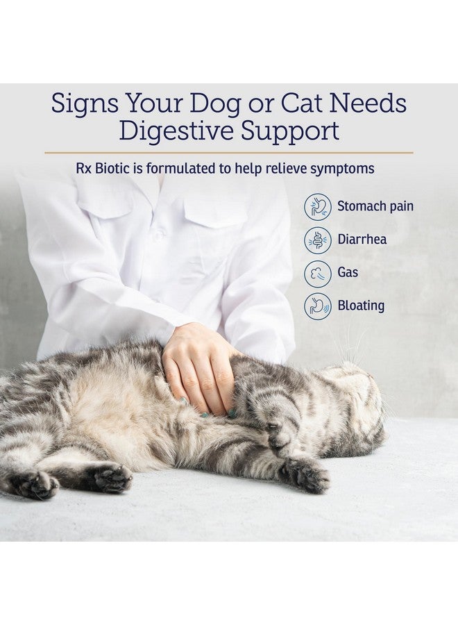 Rx Vitamins Rx Biotic - Probiotic Powder for Dogs and Cats - Cat Digestive Support & Probiotic for Dogs Gut Health - Cat Probiotics for Indoor Cats - Dog Probiotics for Digestive Health - 1.25oz - Image 3