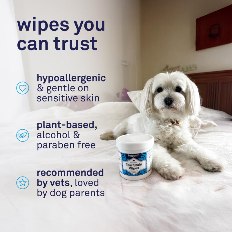 Petpost Tear Stain Remover Wipes for Dogs | 100 Count Gentle Eye Wipes with Juniper Berry & Coconut | Dog Face Wipes for Tear Stains & Eye Discharge | Soft Cotton Pads, Bleach Free - Image 4