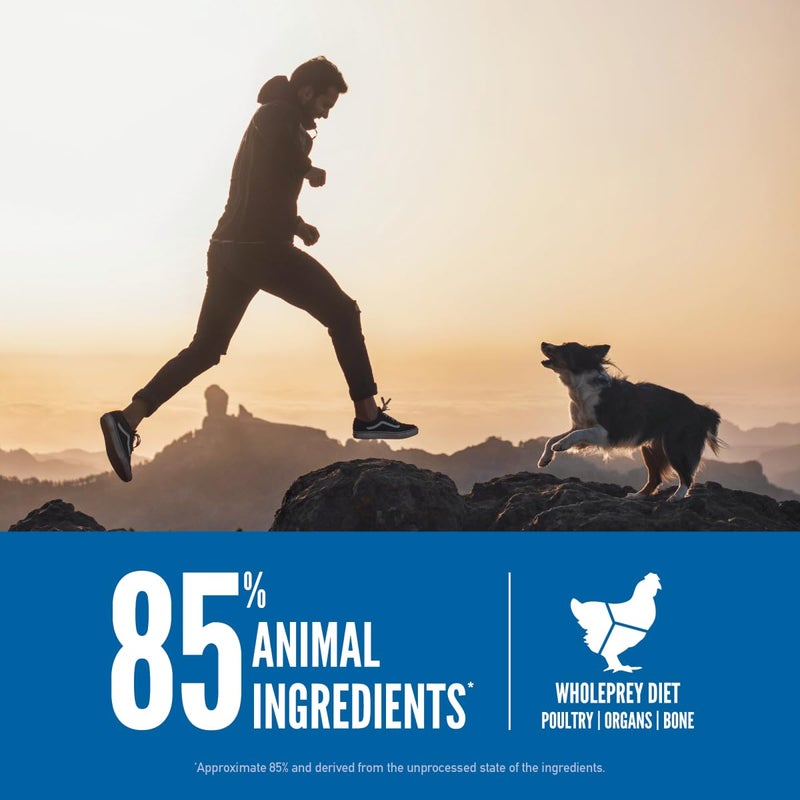 ORIJEN Grain Free High Protein Dry Dog Food Original Recipe 4.5lb Bag - Image 4