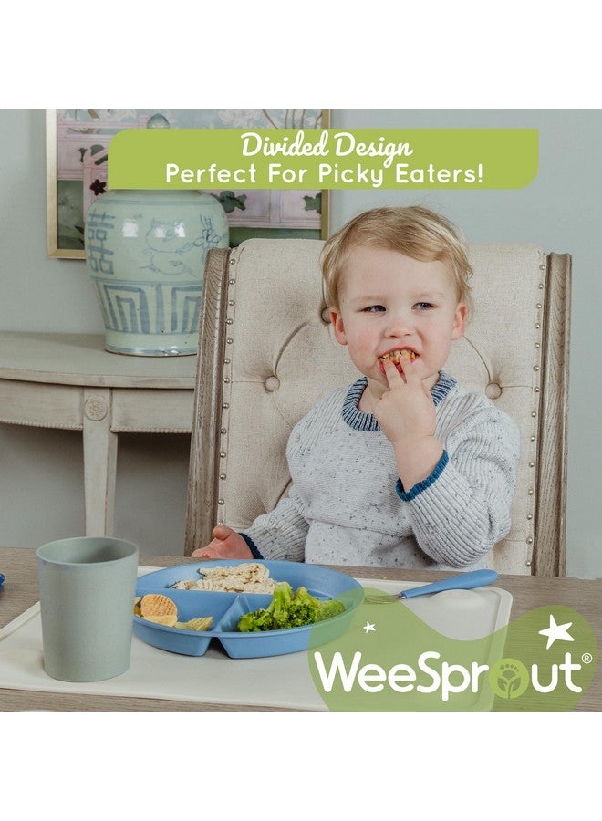 وي سبراوت أطباق الخيزران المقسمة من WeeSprout للأطفال، أطباق للأطفال مصنوعة من الخيزران الطبيعي الصالح للأكل، تصميم مقسم للأطفال الذين يتناولون الطعام بشكل انتقائي، أدوات مائدة قابلة لإعادة الاستخدام بحجم الأطفال، أدوات مائدة آمنة للغسل في غسالة الأطباق، مجموعة من 4 قطع - Image 3