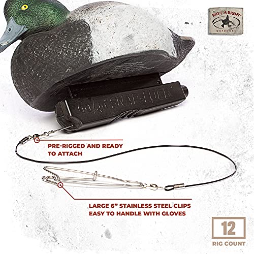 Rig Em Right Rig'Em Right Waterfowl Pre-Rigged Gang Rig Drops with 400-LB Monofilament and Large 6" Stainless Steel Clips for Speed and Durability (12 Gang Rig Drops) - Image 3