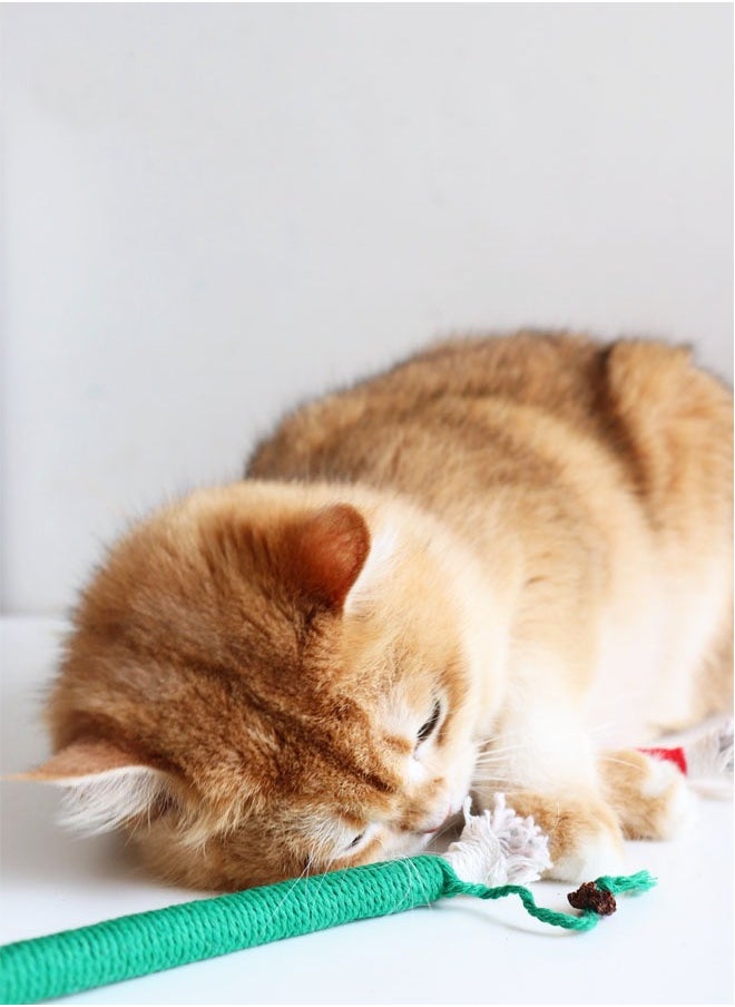 Generic 20cm Catnip Toy Bite Rope, Interactive Cat Toy Interactive Cat Chewing Toys, Cat Toys Colorful Cat Catnip Rope Toys,Chew Teeth Cleaning Stress Release Catnip Cotton Rope Toy, 3 Pcs（color random)  - Image 5