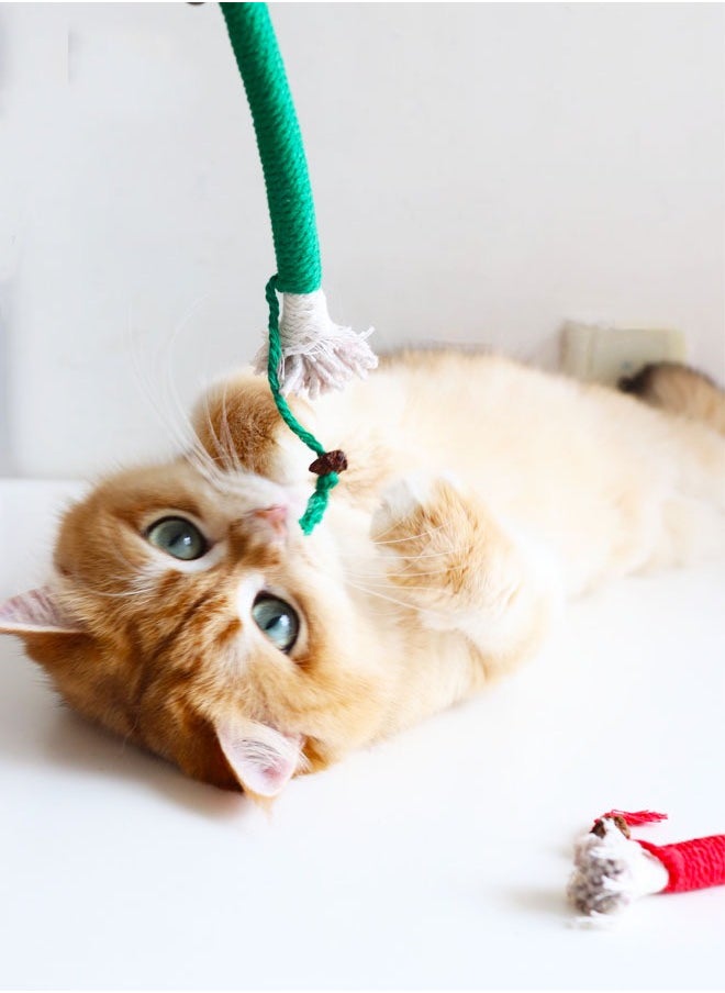 Generic 20cm Catnip Toy Bite Rope, Interactive Cat Toy Interactive Cat Chewing Toys, Cat Toys Colorful Cat Catnip Rope Toys,Chew Teeth Cleaning Stress Release Catnip Cotton Rope Toy, 3 Pcs（color random)  - Image 4