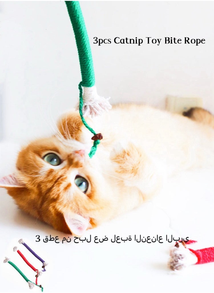 Generic 20cm Catnip Toy Bite Rope, Interactive Cat Toy Interactive Cat Chewing Toys, Cat Toys Colorful Cat Catnip Rope Toys,Chew Teeth Cleaning Stress Release Catnip Cotton Rope Toy, 3 Pcs（color random)  - Image 1