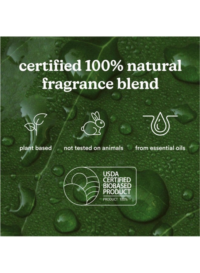 HoMedics Homedics SereneScent Parisian Affair, Floral & Fresh Home Fragrance Oil, 120 ml, for use with Homedics SereneScent Waterless Diffuser (ARMH-970/973), Clean & Natural, up to 100% USDA Biobased  - Image 3