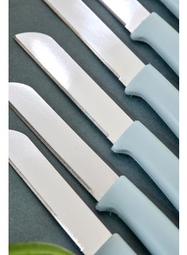 Stainless Steel Special Series 6 Piece Set Fruit Knife - pzsku/Z1CFCE3E7D4CDF35D1C25Z/45/_/1730507155/0b346edc-4e8e-416d-bf99-0cb477380c89