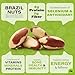 NUT CRAVINGS Brazil Nuts Roasted Salted No Shell Whole 16oz 1 LB Packed Fresh in Resealable Bag Healthy Protein Food Snack Food Assortments - Image 4
