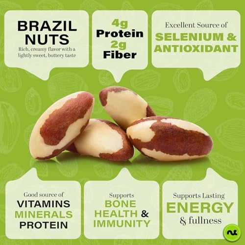 NUT CRAVINGS Brazil Nuts Roasted Salted No Shell Whole 16oz 1 LB Packed Fresh in Resealable Bag Healthy Protein Food Snack Food Assortments - Image 3