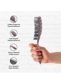 Kuber Industries Hair Brush | Detangler Hair Brush | Leaf Flexible Bristles | Hair Brush With Paddle | Quick Drying Hair Brush | Suitable For All Hair Types | 2 Piece | Hsbiocfe | Coffee  - Image 2