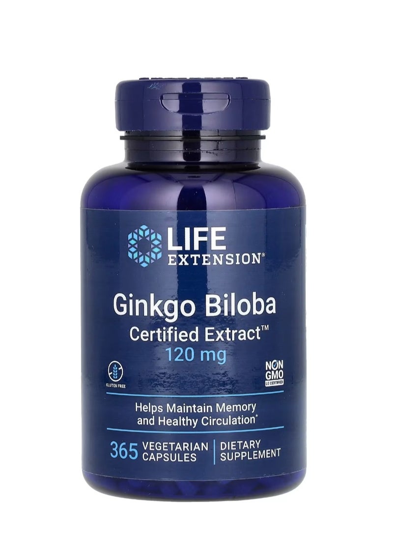 Life Extension Ginkgo Biloba Certified Extract 120 mg 365 Vegetarian Capsules - Image 1