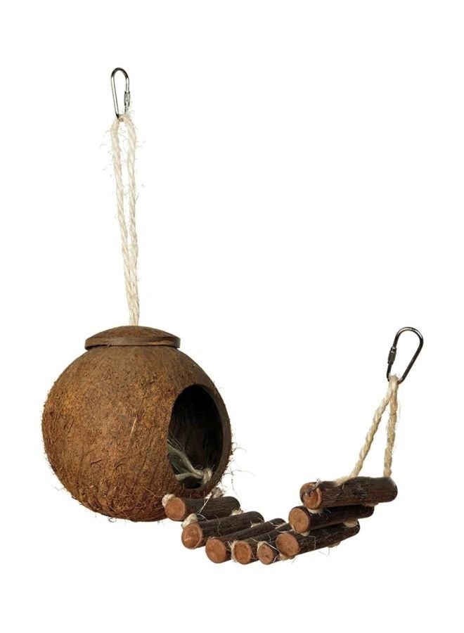 Natural Coconut Shell Nesting House Wood Color - Image 1