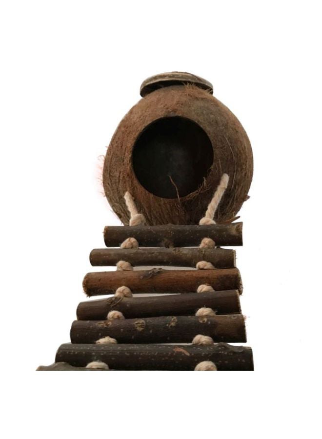 Natural Coconut Shell Nesting House Wood Color - Image 3
