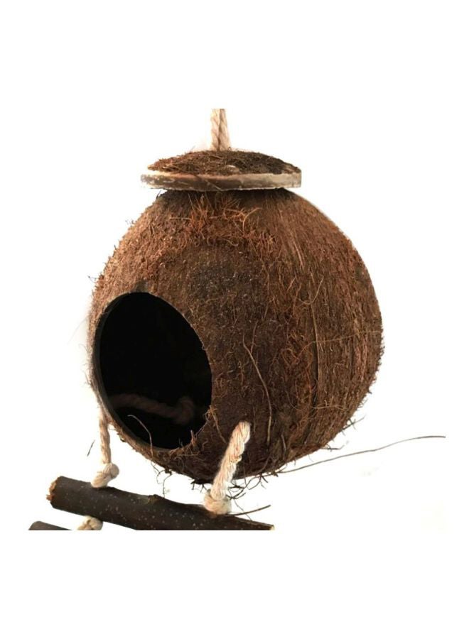Natural Coconut Shell Nesting House Wood Color - Image 2