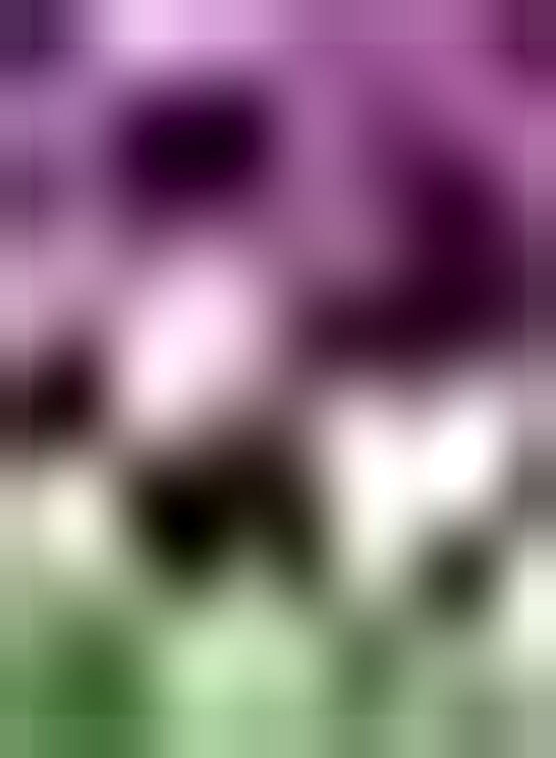 GGOOT 5pcs Paars Allium Bollen Heirloom Bloembollen voor Patio Terras Tuin Planten Verse Aroma Trekken Vlinders en Bijen - Image 2