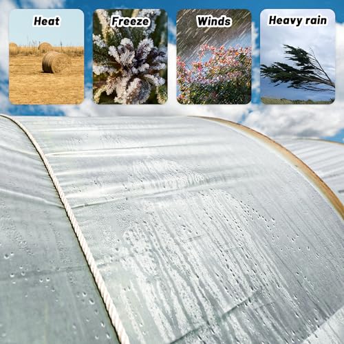 warmfarm 6 Mil Clear Greenhouse Plastic Sheeting,Transparent Plastic Film for Greenhouse, UV Resistant Polyethylene Film for Farm,Garden (8ftx12ft) - Image 5