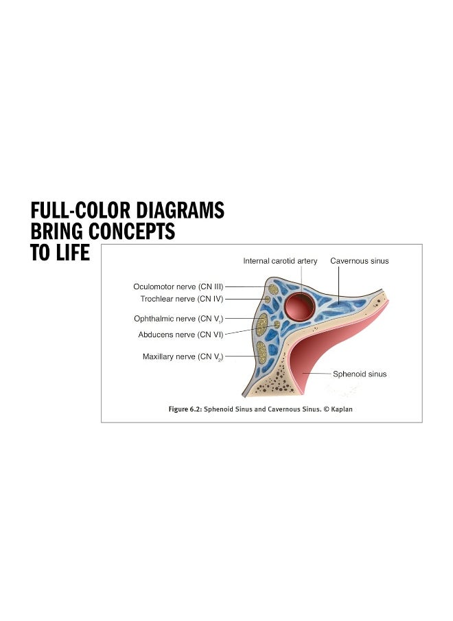null - إتقان المجالس Usmle الخطوة 2 Ck، الطبعة السابعة - Image 1