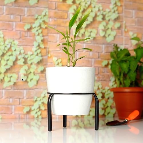 D&V ENGINEERING - Creative in innovation D&V Engineering Metal Plant Stand | Heavy-Duty Rustproof Pot Holder for Balcony, Patio & Indoor Garden | Modern Decorative Plant Rack | 7.9” Diameter, 6” Height | 40kg Capacity | Black (Set of 3) - Image 3